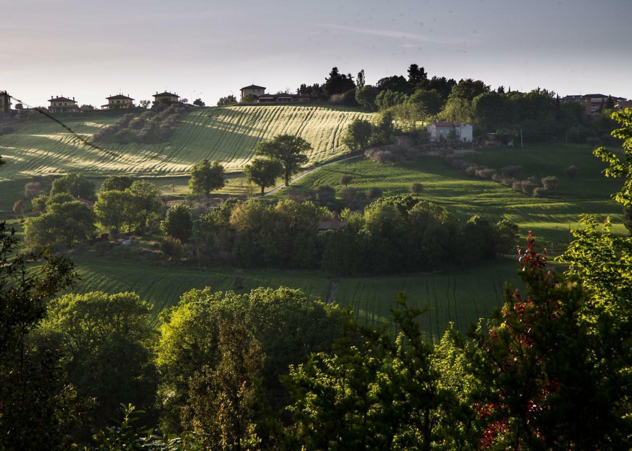 Grande Villa Storica Per Vacanze Con Giardino Privato E Piscina Ostra Exterior photo