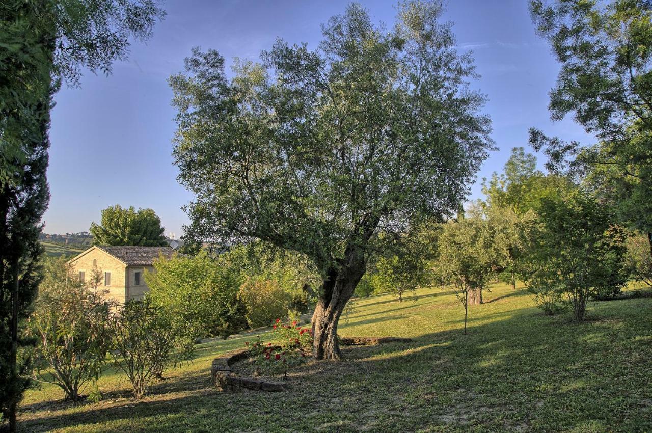 Grande Villa Storica Per Vacanze Con Giardino Privato E Piscina Ostra Exterior photo