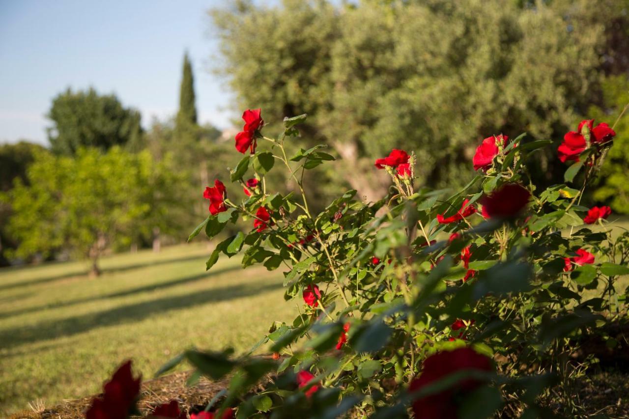 Grande Villa Storica Per Vacanze Con Giardino Privato E Piscina Ostra Exterior photo